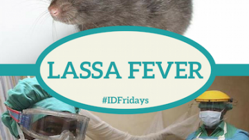 Lassa-Fever-400px