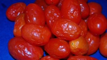 rotten-tomatoes